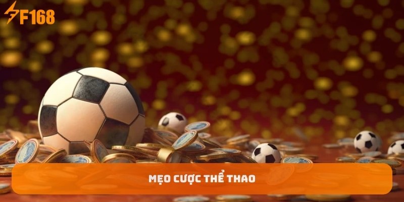 avatar-meo-cuoc-the-thao