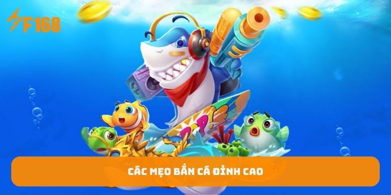 cac-meo-ban-ca-dinh-ca
