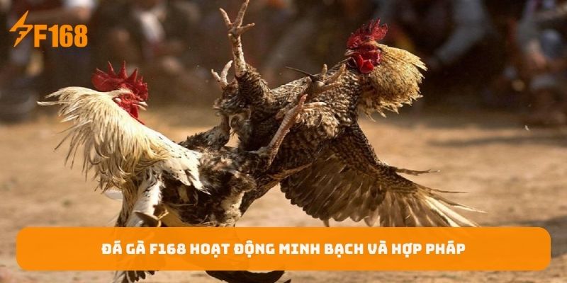 da-ga-f168-hoat-dong-minh-bach-va-hop-phap
