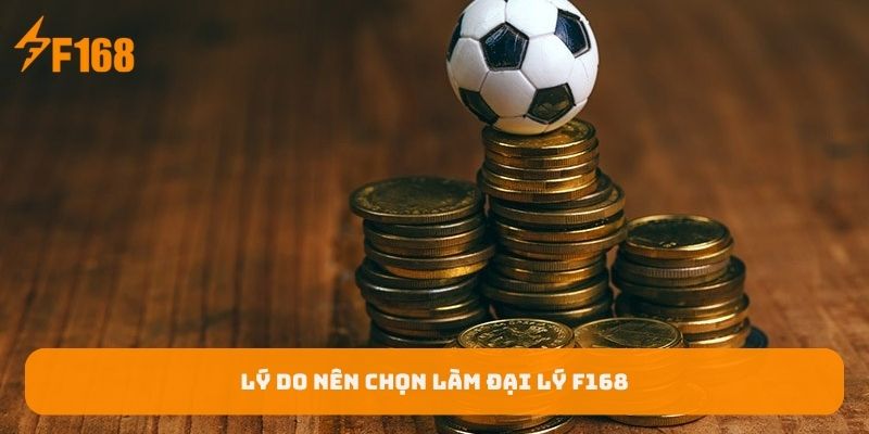 ly-do-nen-chon-lam-dai-ly-f168