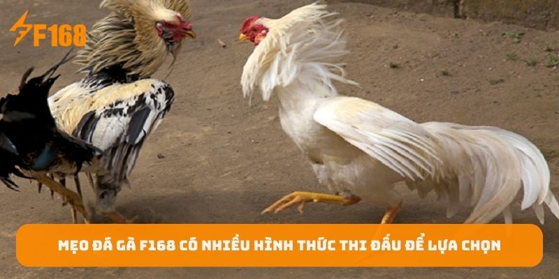 meo-da-ga-f168-co-nhieu-hinh-thuc-thi-dau-de-lua-chon