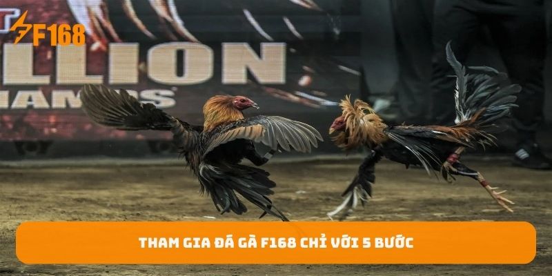 tham-gia-da-ga-f168-chi-voi-5-buoc